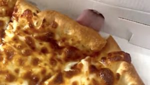 Puppy Licks Pizza Through Box