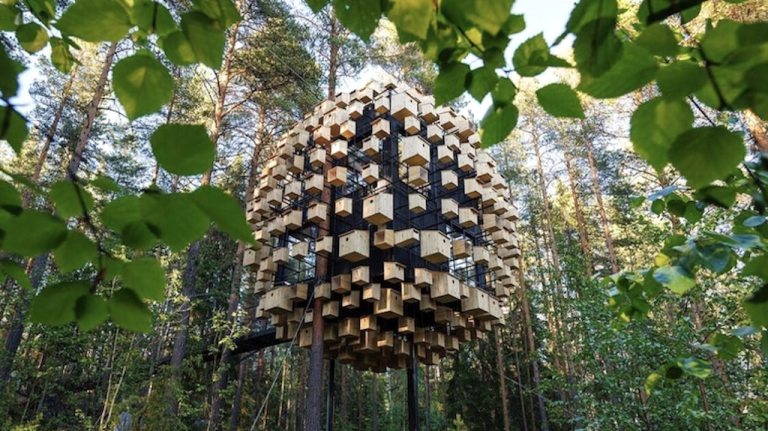 TreeHotel Biosphere