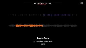 50 Years of Hip-Hop Samples