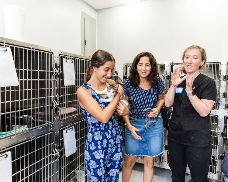 Flatbush Veterinary Clinic Grand Opening Adoption