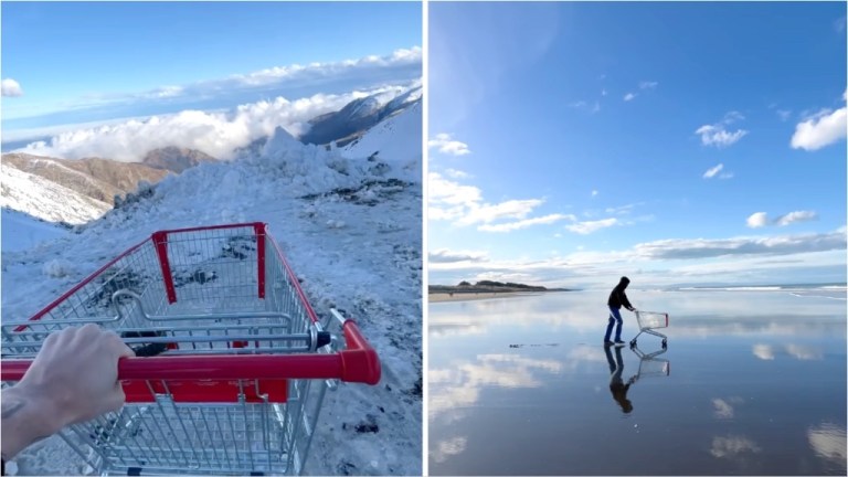 Returning a shopping cart