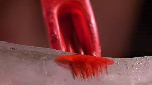 Slow Mo Tattoo on Clear Skin