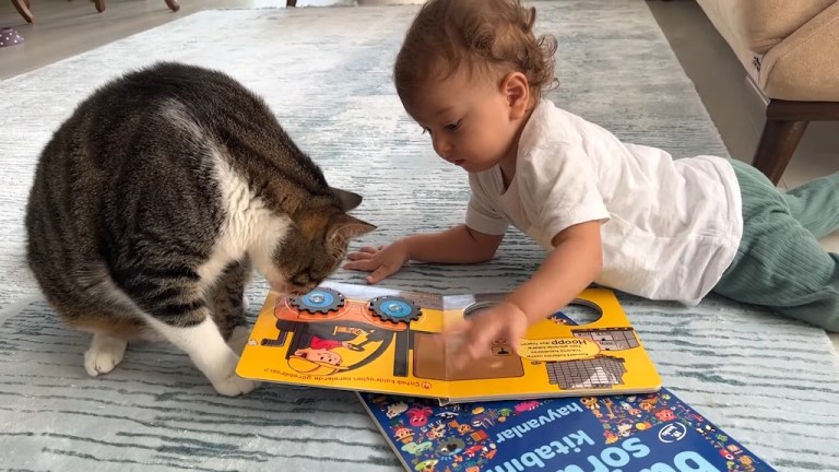 Baby Imitates Cat