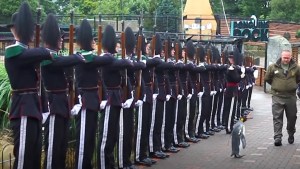 Highest Ranked Penguin