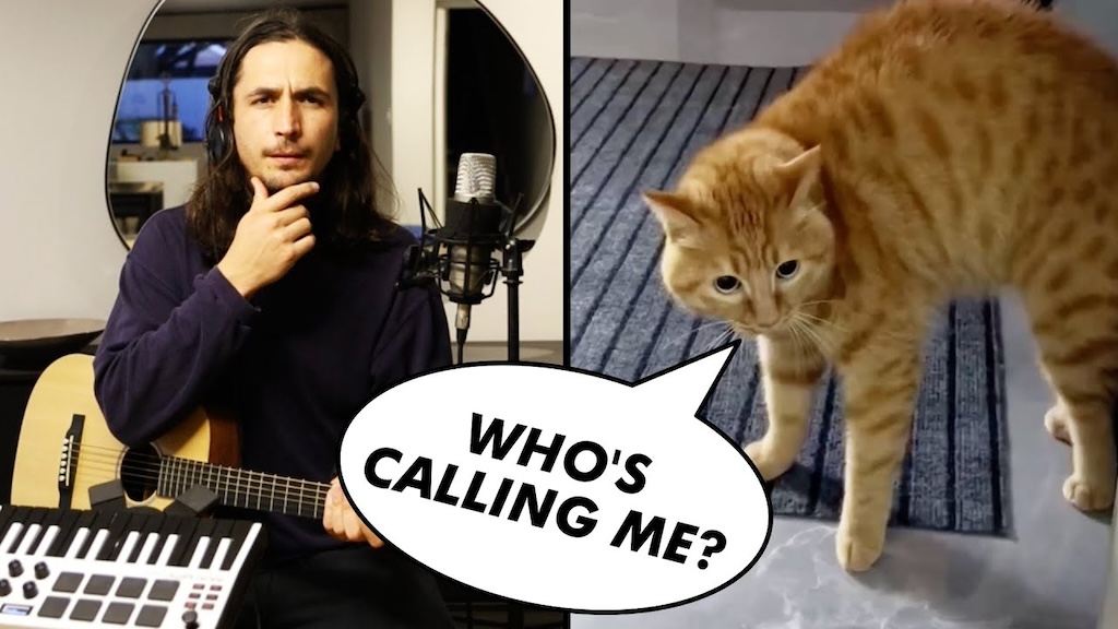 The Kiffness 'Collaborates' With a Talking Cat to Create a Reassuring Song
