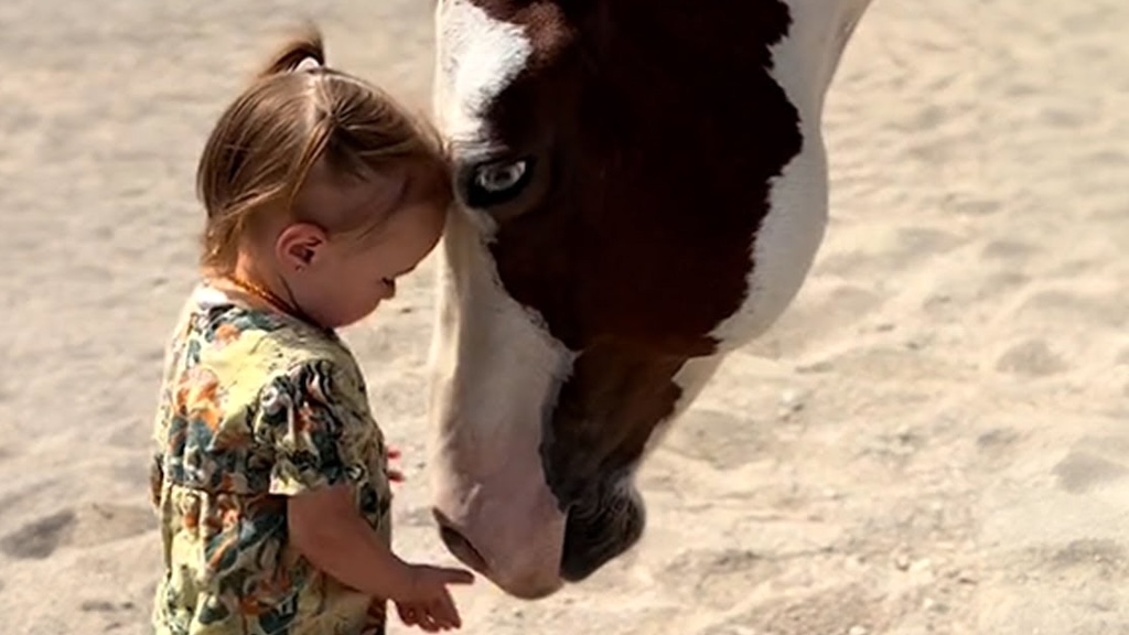 Horse Whispering Toddler