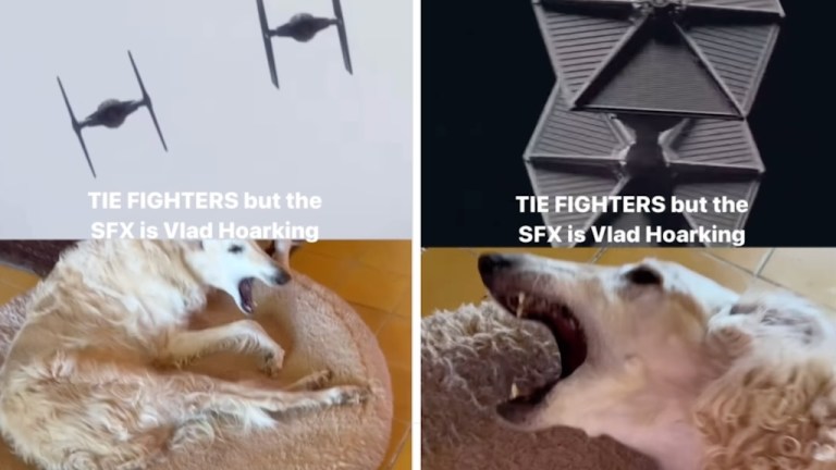 Borzoi Tie Fighter