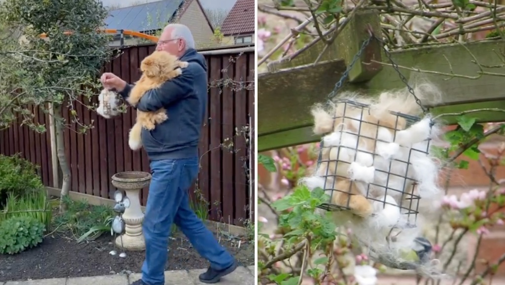 Man Hangs Excess Cat Hair for Birds to Use for Nests