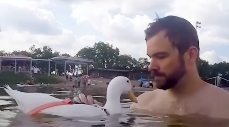 Man Teaches Duck to Swim