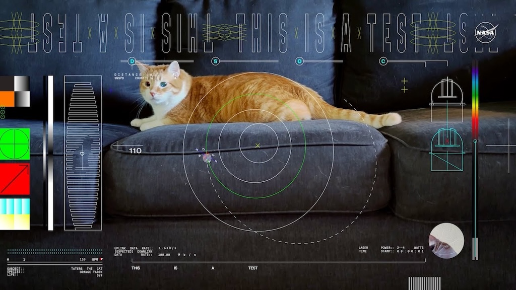 NASA Cat Video