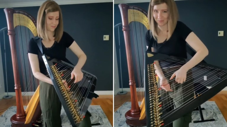 Thunderstruck Electric Harp