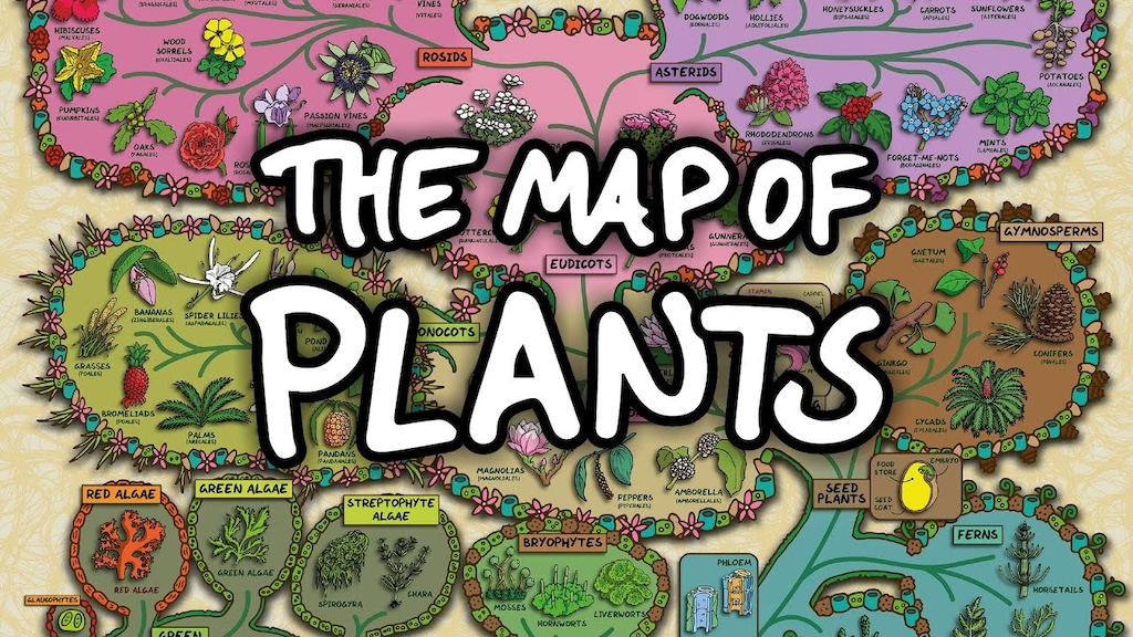 Map of Plants