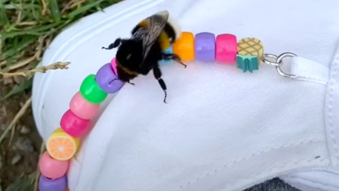 One-Winged Bumblebee