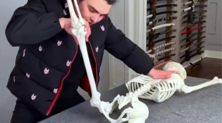 Skeleton Chiropractor