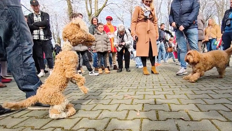 Dog Marionette Dog Lookalike