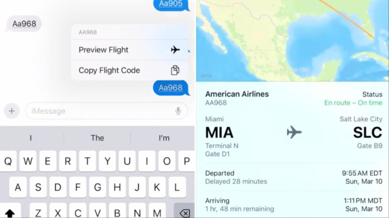 Flight Info Hack