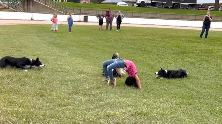 Herding Ducks Under Backbend