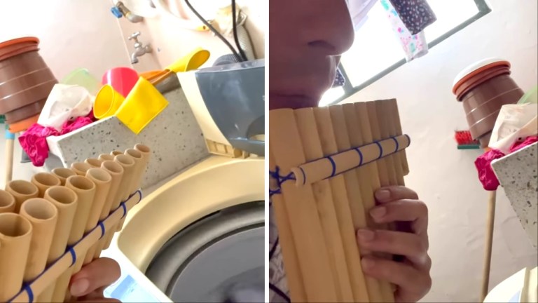 Pan Flute Washing Machine Duet