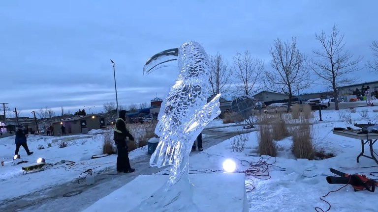 Toucan Ice Carve Timelapse