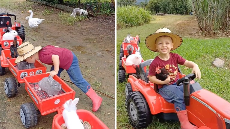 Animal Kisses Before Tractor Ride