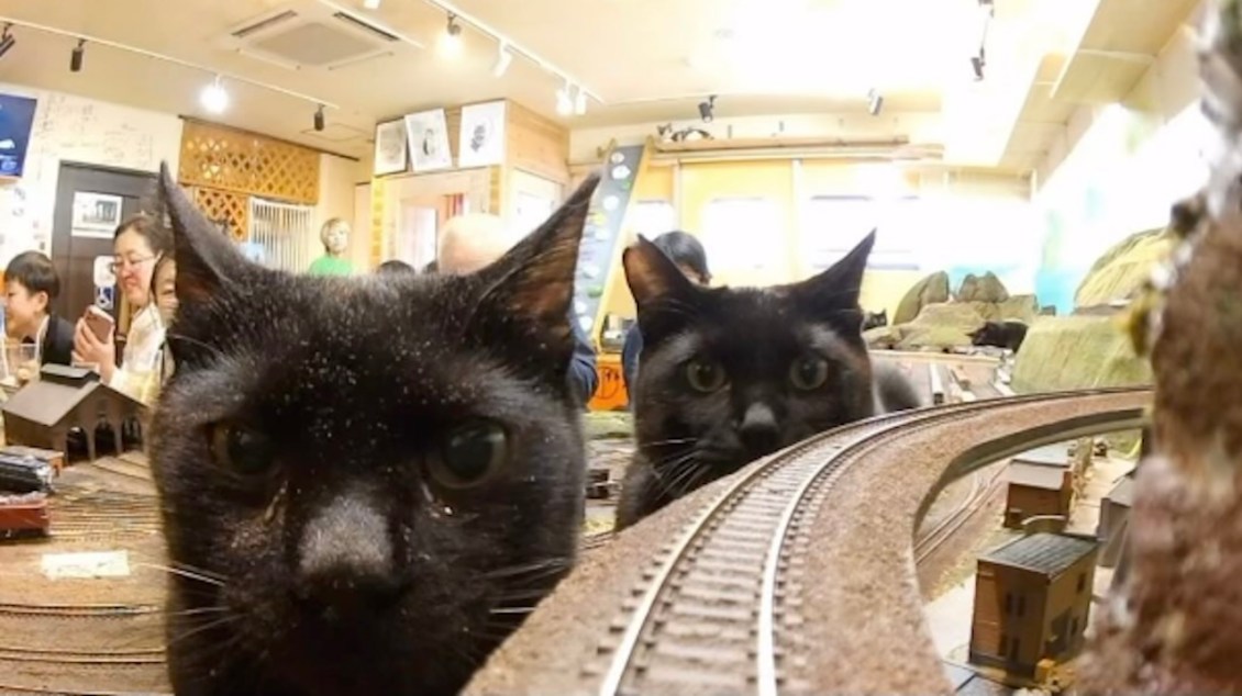 Black Cats Model Train