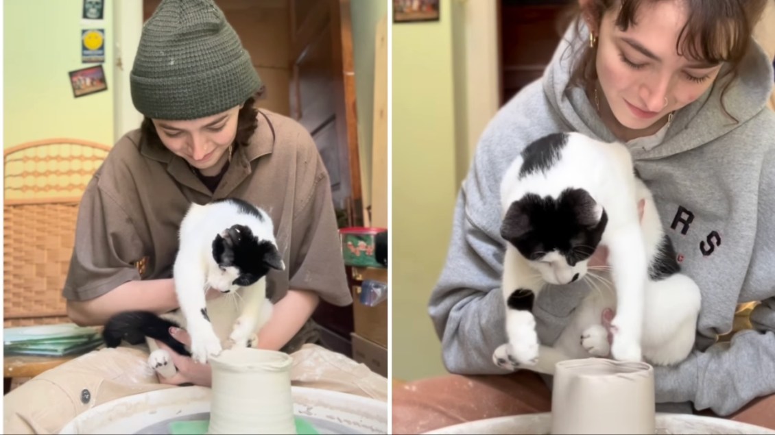 Cat Throws Pottery With Human