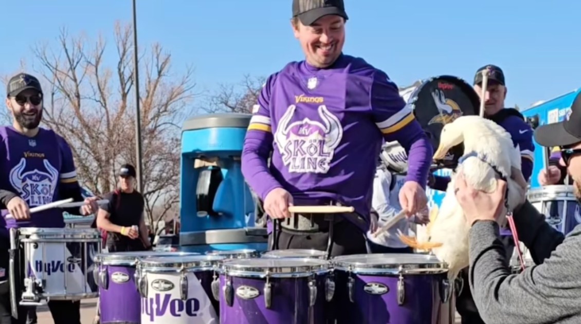 Duck Drums Minnesota Drumline