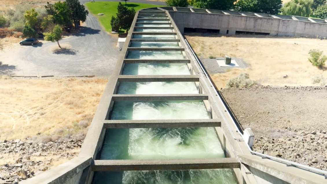 How Fish Ladders Work