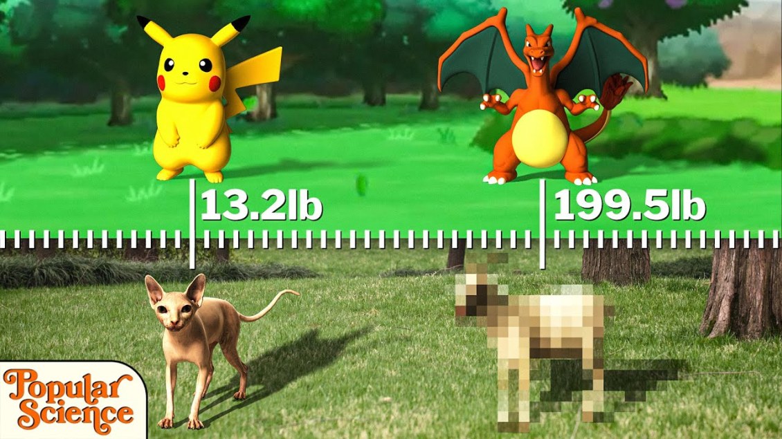 Pokemon Weight vs Real Animals