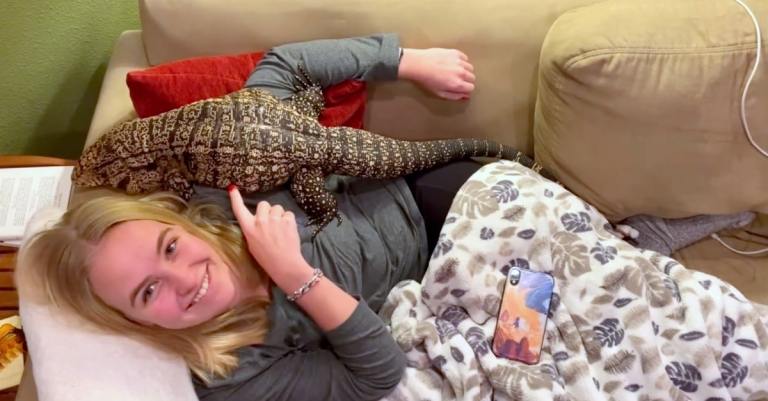 Affectionate Lizard Love Cuddles With Humans