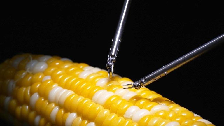 Sony Microsurgery Assistance Robot Stitching a Corn Kernel