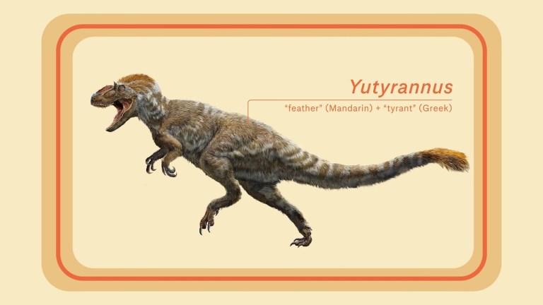 Yutyrannus