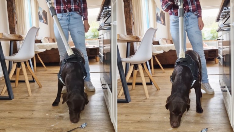 Dog Vacuum Cleaner