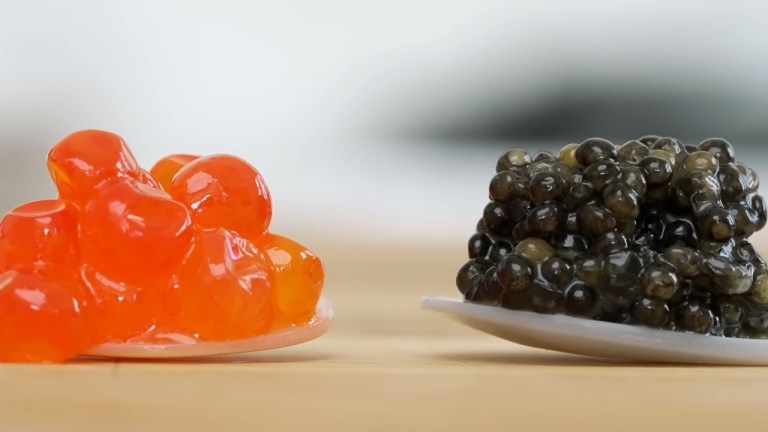 Caviar Test Taste