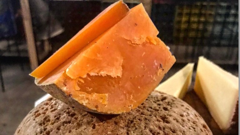 Mimolette Cheese Flour Mites