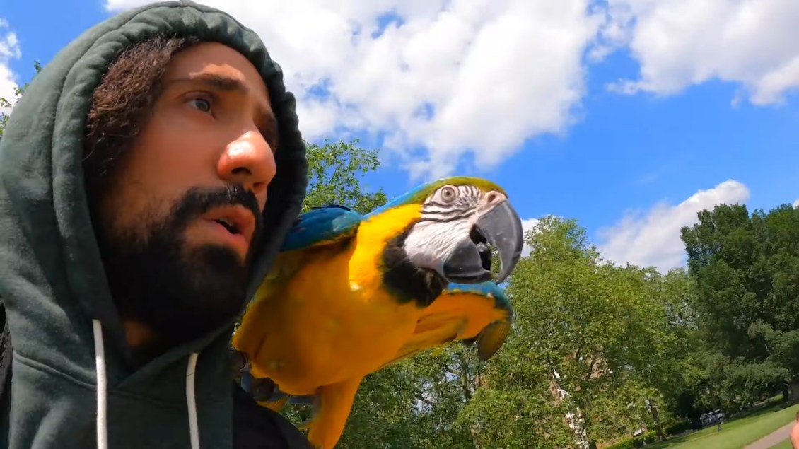 Parrot Returns to Bike