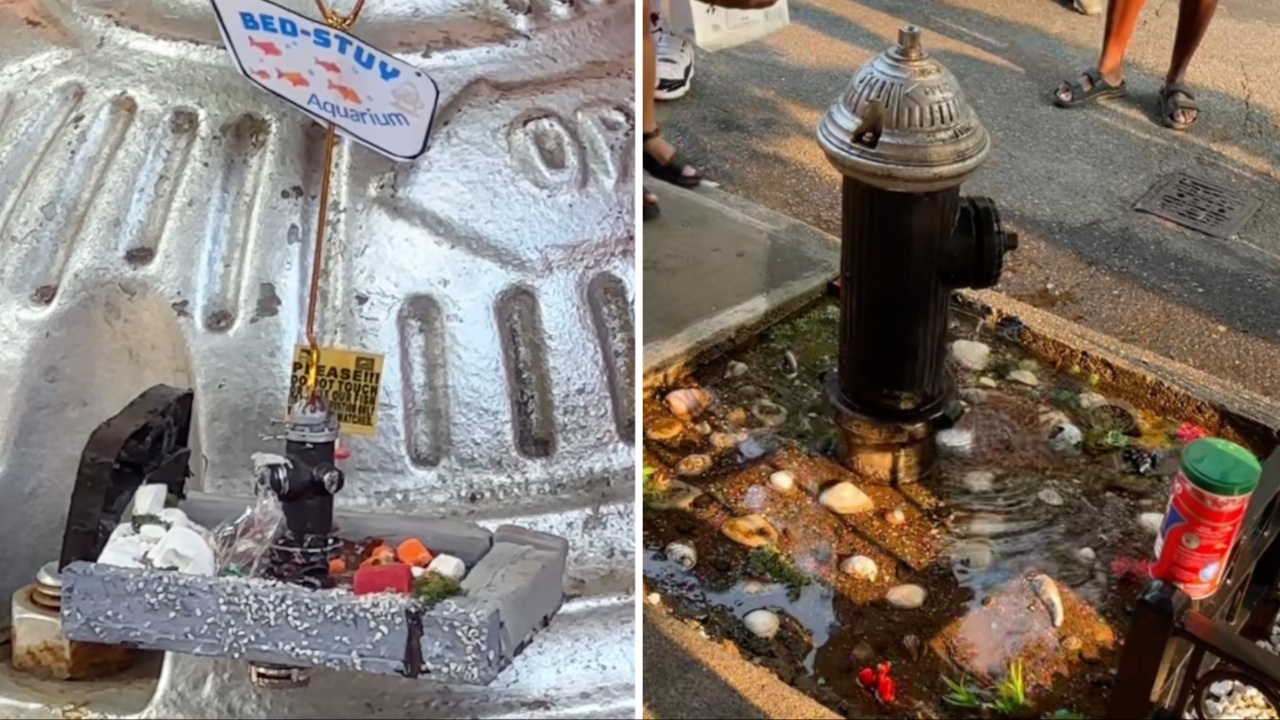 Brooklyn artists create miniature version of Sidewalk Bed-Stuy Aquarium