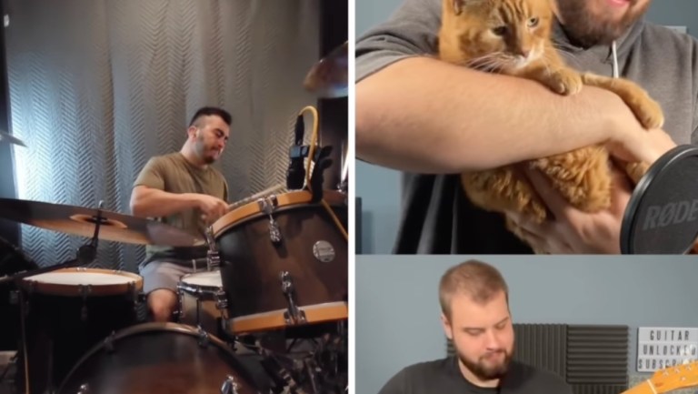 Drummer Cat Blur Song 2