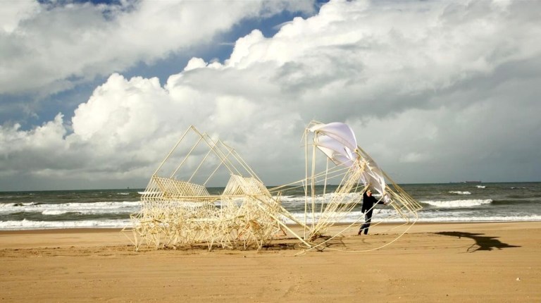 Animaris Tenere Strandbeest