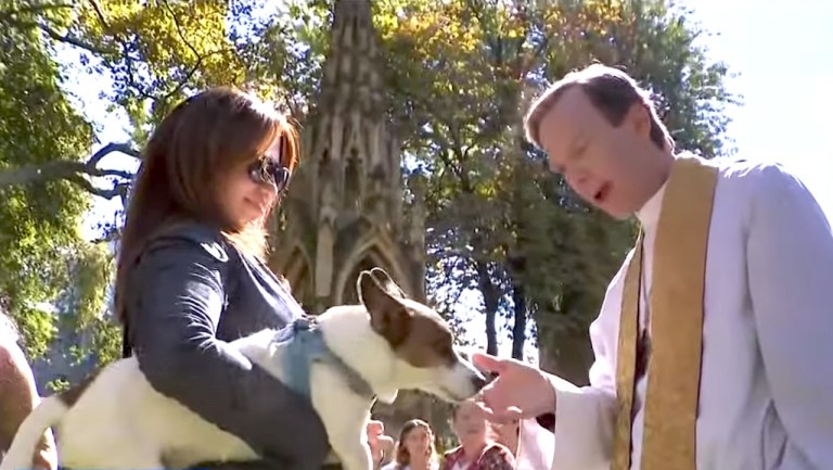 Blessing of the Animals St John Divine