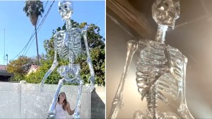 Disco Ball Skeleton