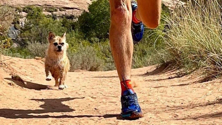 Man Adopts Stray Dog During Race