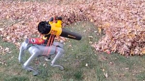 Spot Robot Leaf Blower