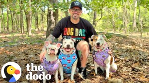 Teacher Deaf Therapy Dogs