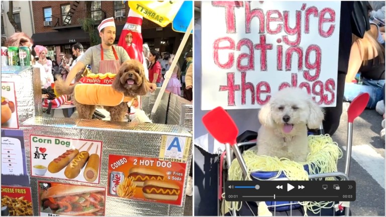 Tompkins Square Park Dog Parade