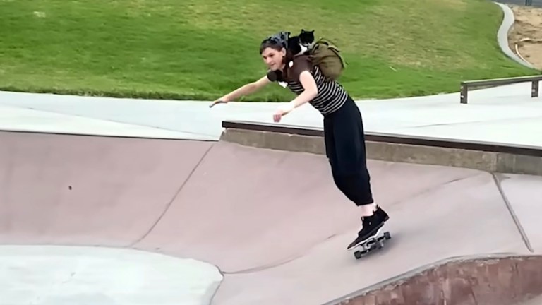 Cat Skateboards on Humans Back