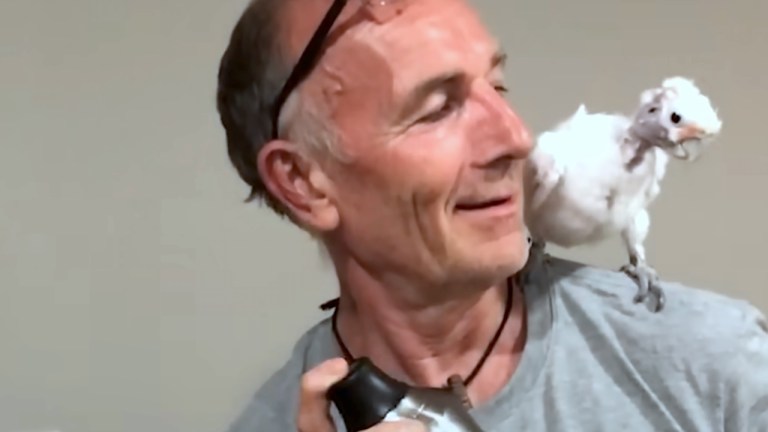 Cockatoo Attached to Dad