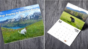 Dogs Pooping in Beautiful Places Calendar