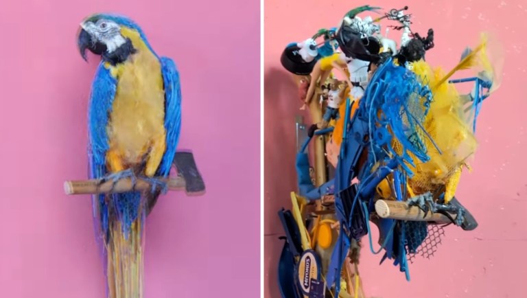 Bird Sculptures Recycled Toys