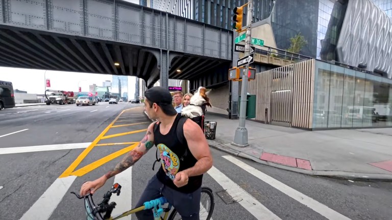 Dog in Backpack on Bicycle Awoo Siren